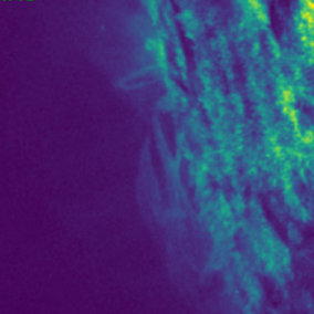 An image of the Sun in blue and green. Solar prominences are visible.