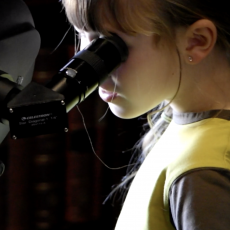 Brownie looking through a telescope