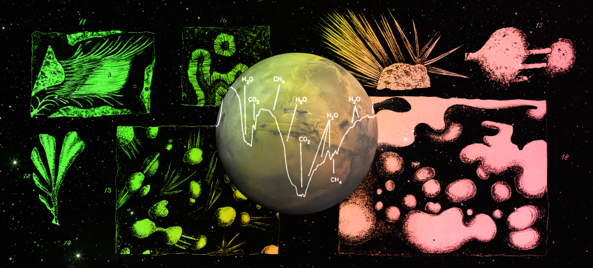 Abiotic Baselines in Astrobiology