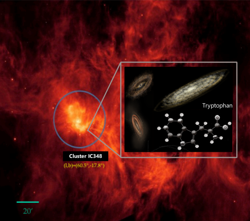 An image of the star-forming region IC348 overlaid with an image of the tryptophan molecule. 